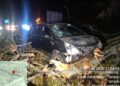 Pokok tumbang hempap dua kereta, lima beranak nyaris maut