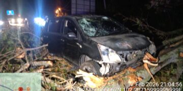 Pokok tumbang hempap dua kereta, lima beranak nyaris maut
