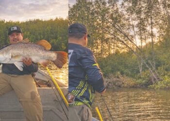 Memujuk siakap putih mega Kuala Sangga