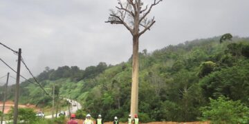 [VIDEO] 40 orang perunding ‘tumbangkan tualang kebal’ Gua Musang