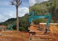 ‘Tak dok doh pokok tualang, mercu tanda Gua Musang – Kuala Krai’