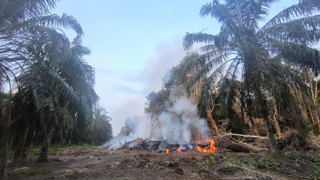 Lebih 20 hektar kawasan ladang terbakar di Port Dickson