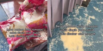 [VIDEO] Monyet ‘pesta’ beras infak Ramadan