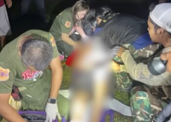 Lelaki temui ajal, dipijak gajah ketika buang air kecil