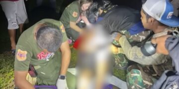 Lelaki temui ajal, dipijak gajah ketika buang air kecil