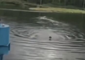 Lelaki tenggelam terjun kolam ketika ‘live’ di TikTok