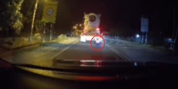 [VIDEO] Tular budak setahun lintas jalan waktu malam