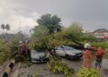 Ribut kuat , pokok tumbang hempap tiga kereta di Ipoh