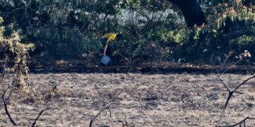 [VIDEO] ‘Habis pakaian berbau asap, sisa arang penuh rumah’