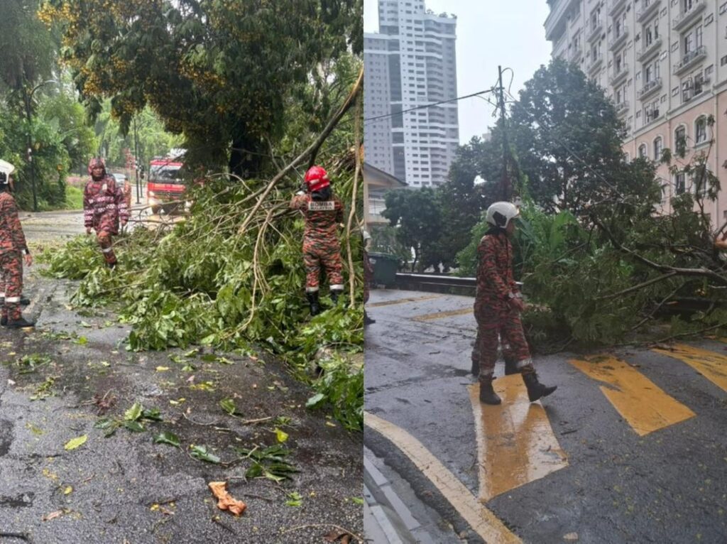 Ribut kuat, banyak pokok tumbang di KL