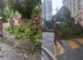 Ribut kuat, banyak pokok tumbang di KL