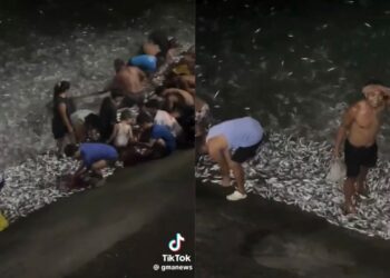 Ratusan ribu ikan meloncat ke darat semasa gerhana bulan 