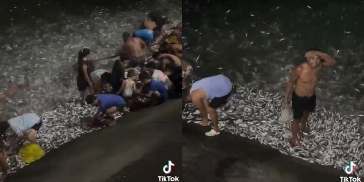 Ratusan ribu ikan meloncat ke darat semasa gerhana bulan 