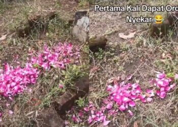 ‘Rider’ dapat ‘order’ ziarah kubur, tabur bunga