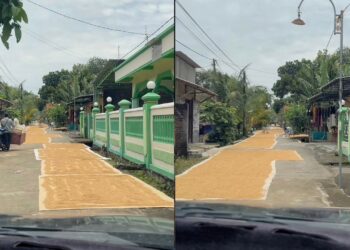 Penduduk guna jalan utama jemur benih padi