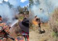 Kebakaran hutan bukit hampir satu hektar di Lebuh Raya MEX