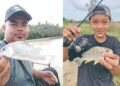 Pancing ikan gerut-gerut di tambak berbatu