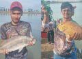 Buru ikan gred A di pesta kolam Pantai Murni