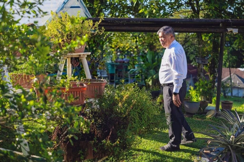 Jika ada ruang di rumah, tanamlah sayur, ulam – Mohamad