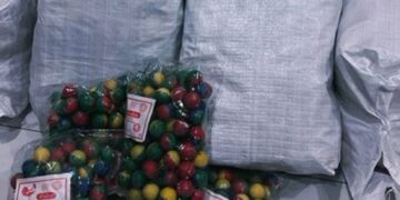 Bunga api ciput, mercun cepat kaya