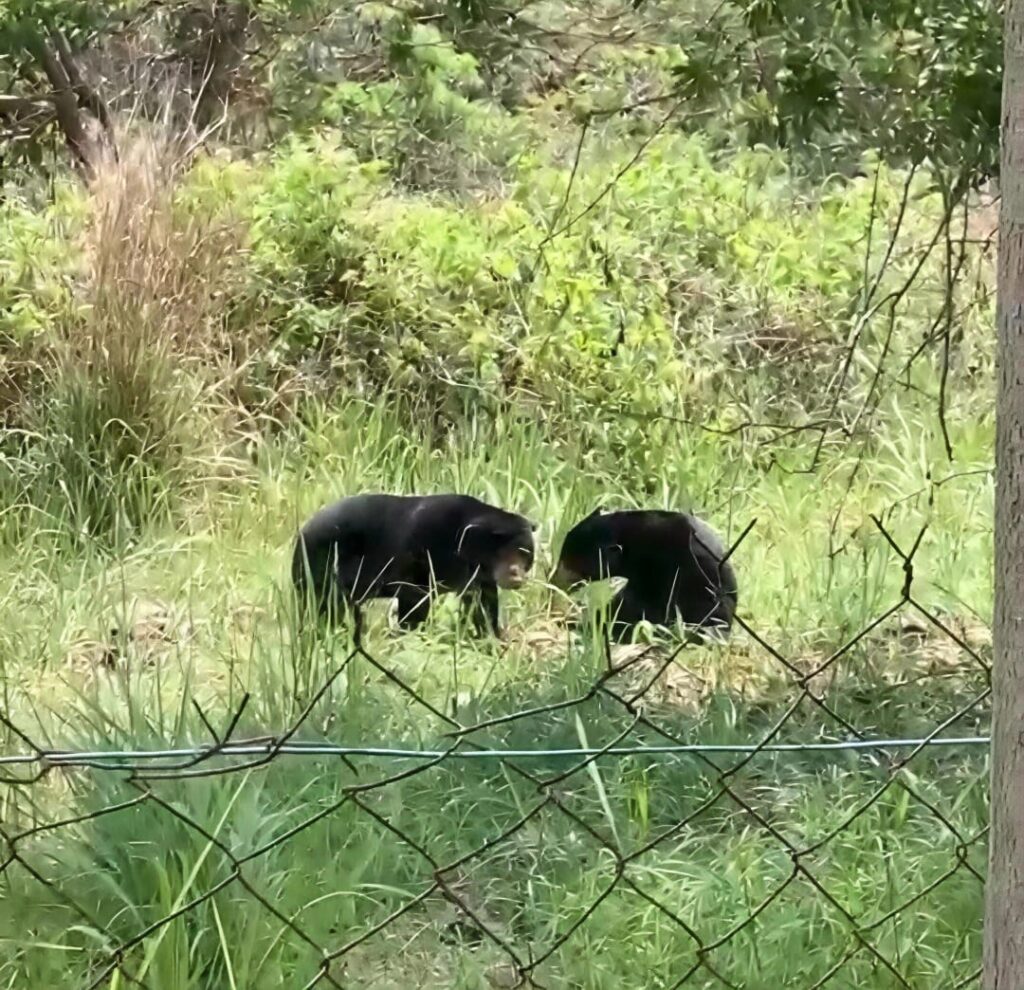 ‘Minyak masak pun dia curi’