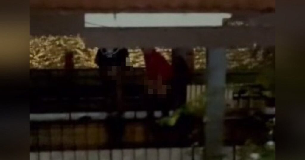 Buat apa dua orang dalam gelap tepi tasik?