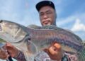 Selongkar lubuk toman Batang Ai