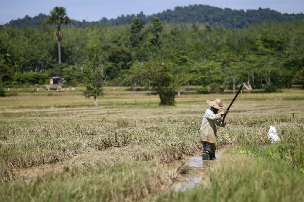 PeSawah hargai kenaikan insentif pembajakan, tetap mohon perluasan subsidi diesel