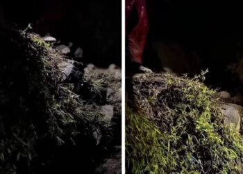 ‘Drama’ pendaki malas berjalan, sanggup panggil pasukan penyelamat
