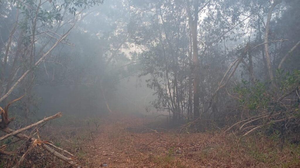 Hebahan di masjid larang pembakaran terbuka