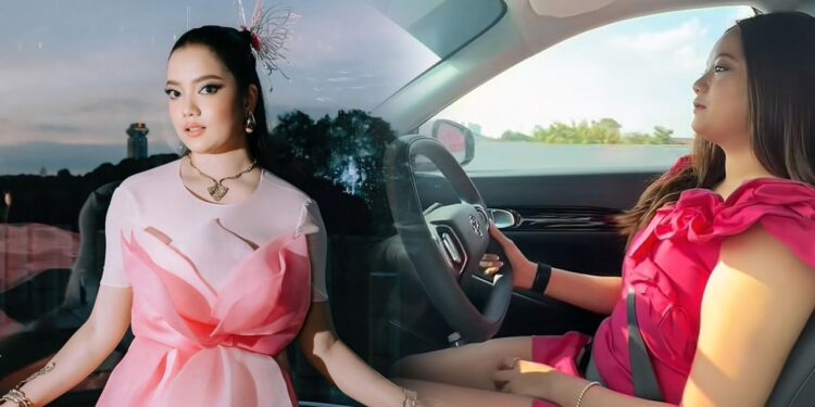 ‘Tolong jangan ikut, kejar saya di jalan raya, sangat menakutkan’