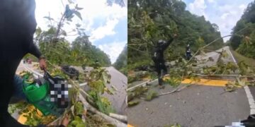 [VIDEO] Nasib baik penunggang motor tidak kena hempap pokok