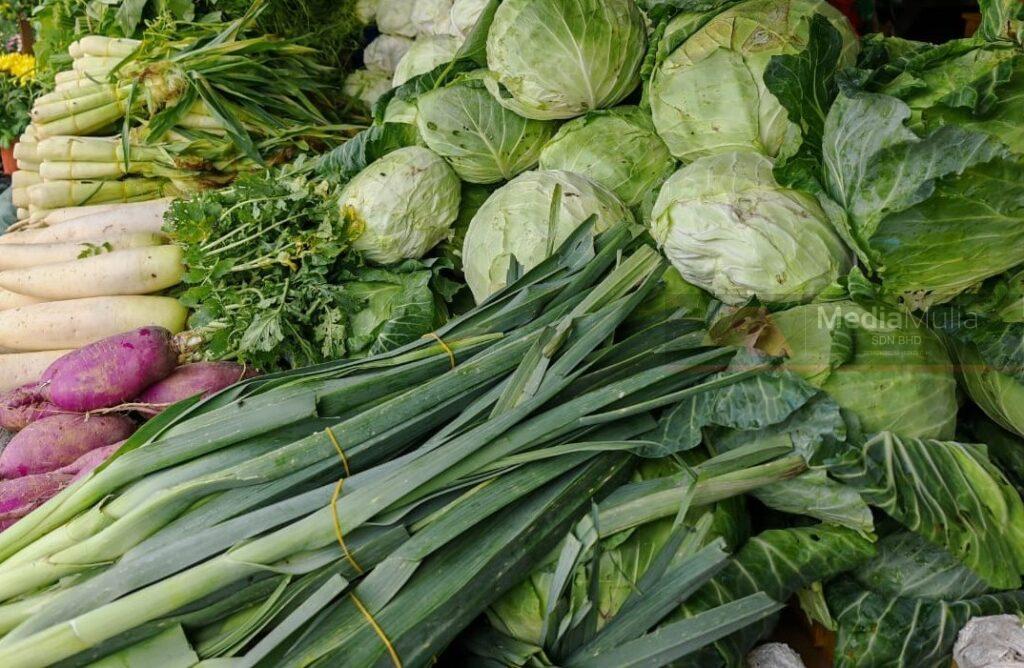 Pelancong ‘seram’ beli sayur Cameron Highlands