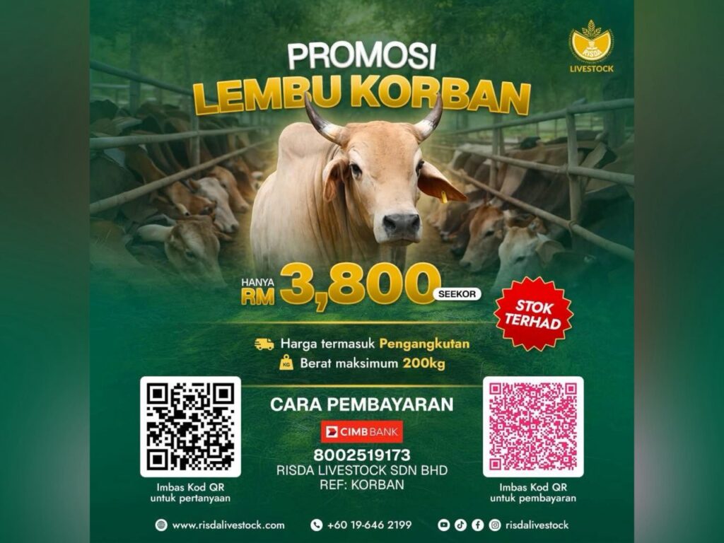 RISDA tawar inisiatif Lembu Korban Rahmah