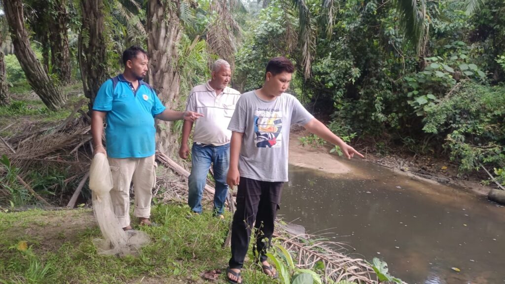 Sungai tercemar di Jelebu, ikan hampir 50kg mati