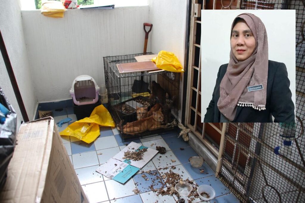 Terhibur tengok haiwan terseksa