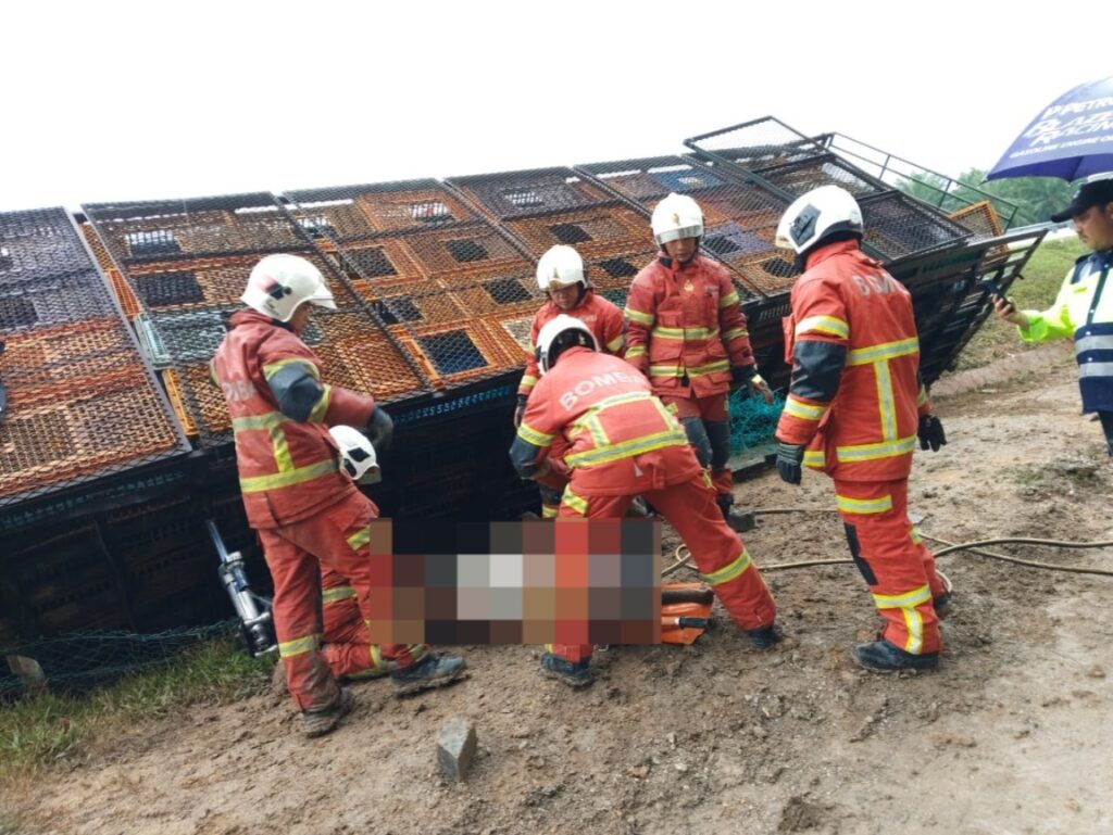 Dua maut lori ayam terbabas