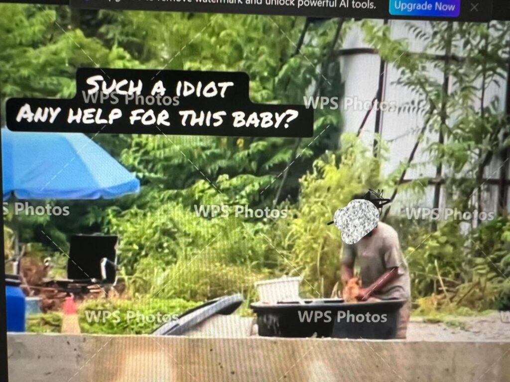 Lelaki kejam rendam anak anjing diberkas