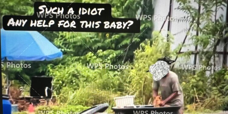 Lelaki kejam rendam anak anjing diberkas