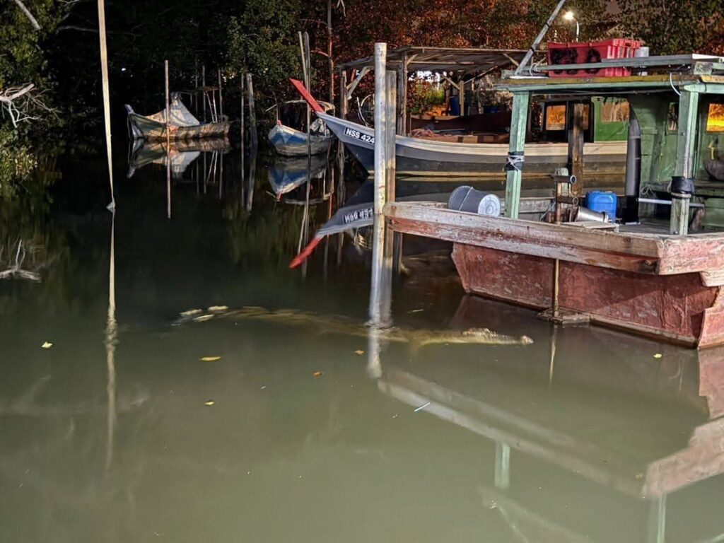 Buaya panjang 4 meter cari ‘ikan’ di jeti nelayan