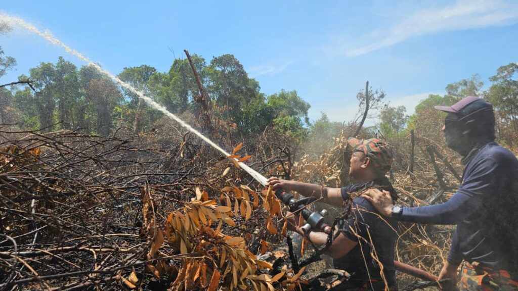 20 hektar Hutan Paya Gambut Rhu Batil musnah terbakar