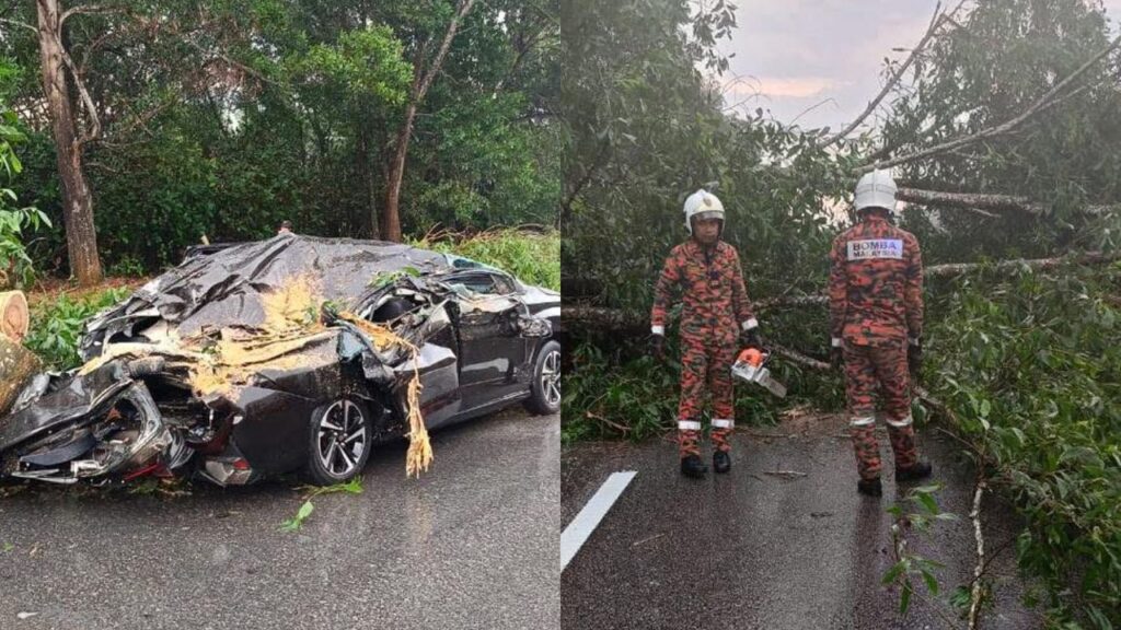 Lelaki terperangkap, kenderaan dihempap pokok tumbang