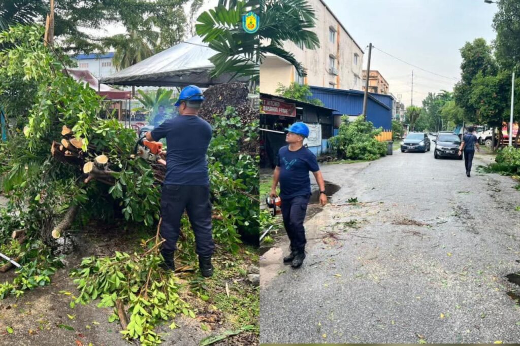 MPAJ gerak pantas bersih pokok tumbang