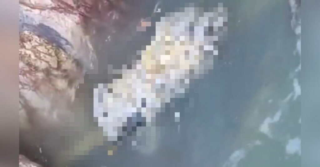 Mayat bunuh dibungkus kanvas di Pulau Angsa