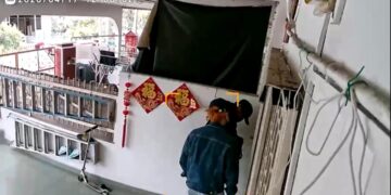 [VIDEO] Lelaki rambut pink pecah rumah, lima minit lesap barang