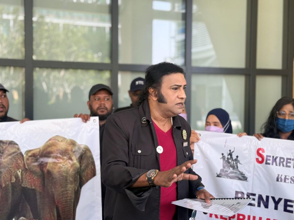 ‘Bawa pulang segera Dara, Amoi, Kelat dari Jepun’