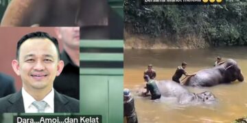 [VIDEO] Isu Dara, Amoi, Kelat sudah ‘sampai’ ke Perdana Menteri