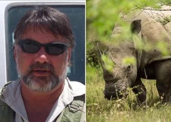 Aktivis haiwan maut ditanduk badak sumbu