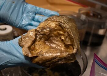 Objek misteri 3 kilometer di dasar laut bukan telur makhluk asing