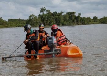 Budak dibaham buaya semasa kutip bola